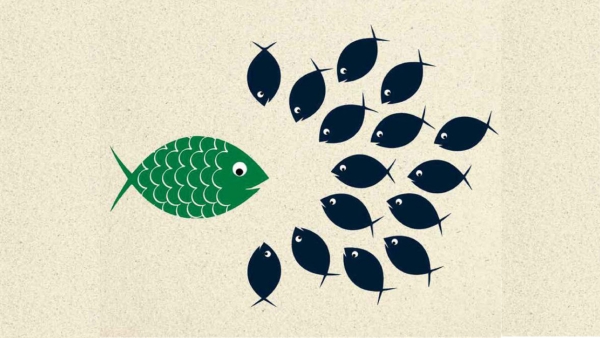 Managing Internal Talent and Leadership Pipeline