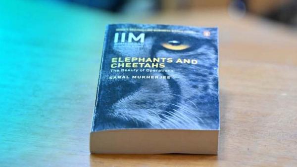 Elephants and Cheetahs: Systems, Strategy and Bottlenecks