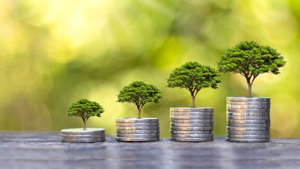 Wealth Management